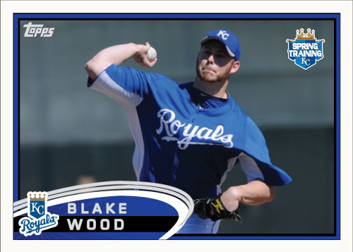 Blake Wood 2012 Spring Training custom card