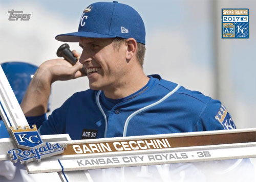 2017springtraininggarincecchini