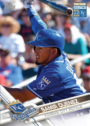 2017SpringTrainingSamirDuenez